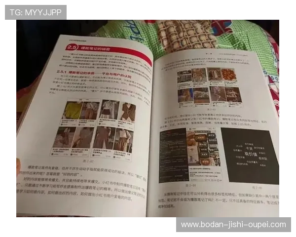 周末玩球推荐避坑指南大型赛事预热防骗